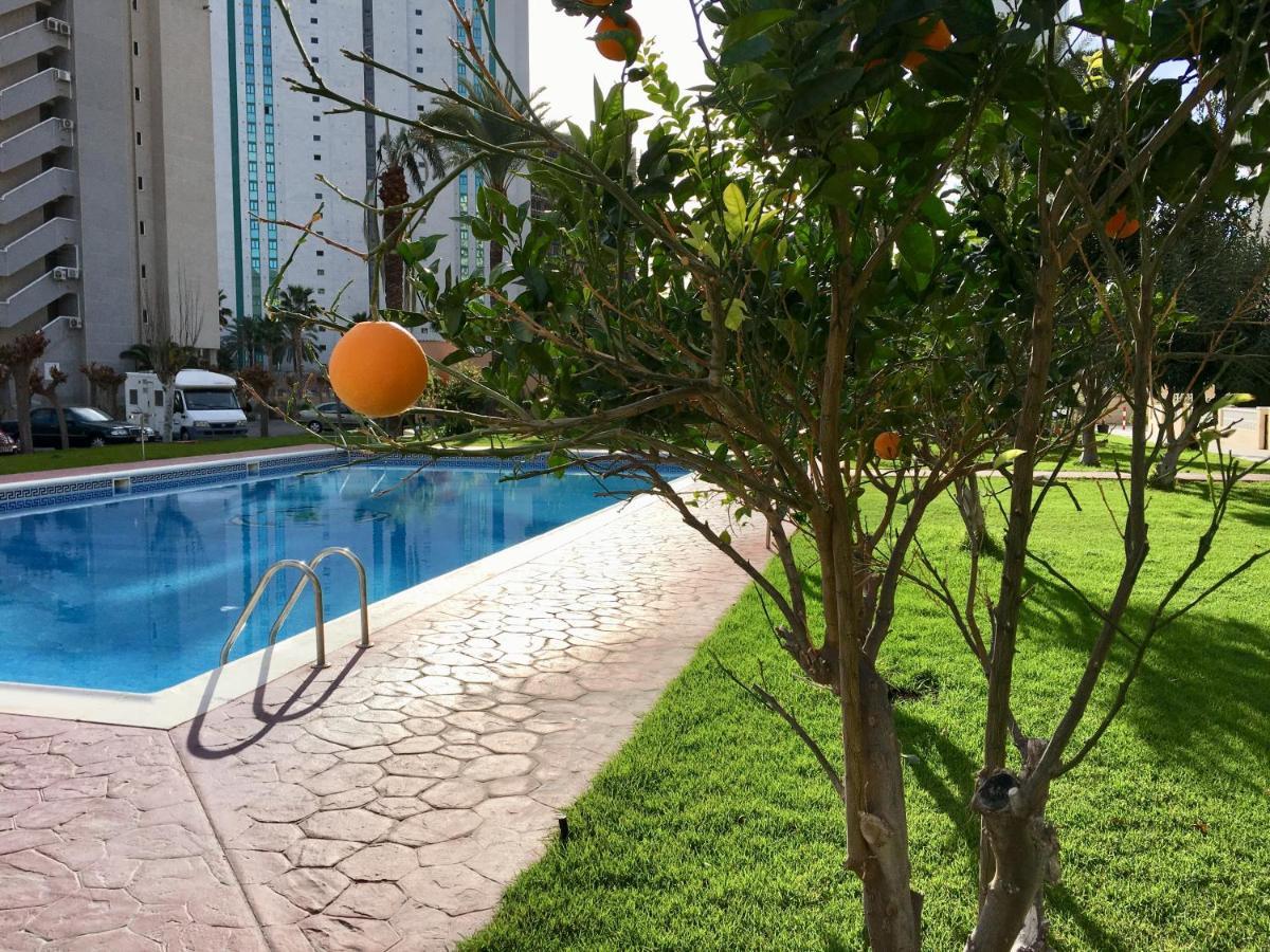 Beach Studio Apartment Hannibal La Cala Finestrat Benidorm Eksteriør bilde