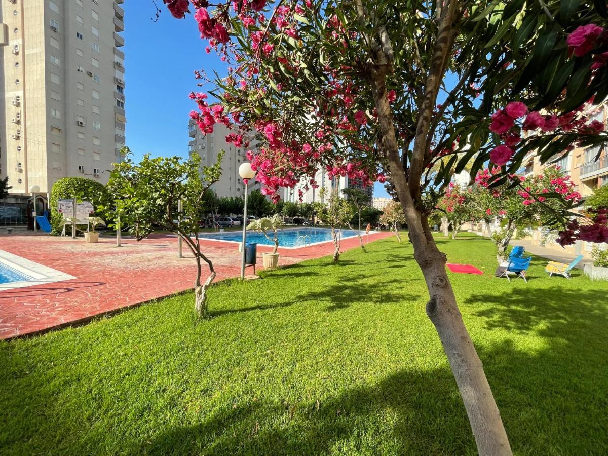 Beach Studio Apartment Hannibal La Cala Finestrat Benidorm Eksteriør bilde