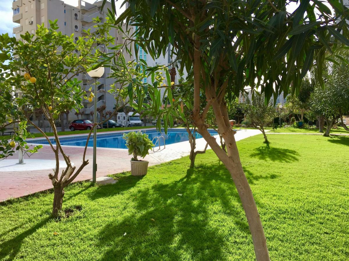 Beach Studio Apartment Hannibal La Cala Finestrat Benidorm Eksteriør bilde